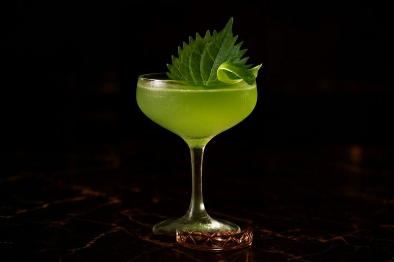 Shiso Daiquiri